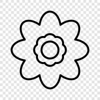 Bloom, Bud, Bloomer, Bloomy ikon svg