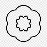 Bloom, Bloomers, Bloomer, Plant icon svg