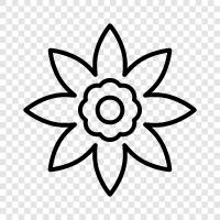 Bloom, Bouquet, Fragrance, Floral ikon svg