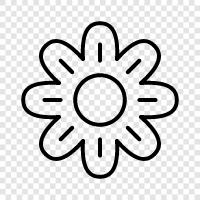 Bloom, Bloomers, Blooming, Bouquet ikon svg