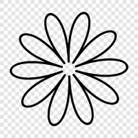 Bloom, Bloomers, Bouquet, Bouquets icon svg