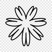 Bloom, Bloomers, Bouquet, Floral icon svg