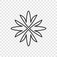 Blüte, Pflanze, Pflanzung, Gartenarbeit symbol