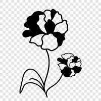 Bloom, Garden, Gardener, Plant icon svg