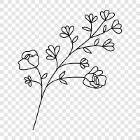 Bloom, Bouquet, Blossoms, Plant icon svg