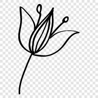 Blüte, Garten, Gartenarbeit, Pflanze symbol