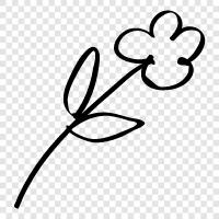 blühen, schönheit, blüte, botanische symbol
