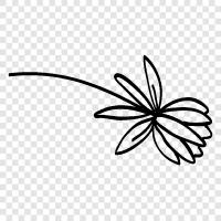 Blüte, blühend, bunt, Blütenblätter symbol