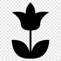 Blüten symbol