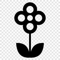 Blüte, Bouquet, Blüten, Duft symbol