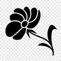 Blüte, Pflanze, Gärtner, Botaniker symbol
