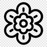 Blüte, Bouquet, Bouqu, Blume symbol