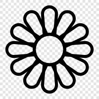 Blüte, Duft, Floral, Florist symbol