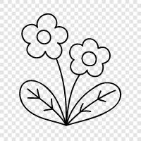 Bloom, Bloomer, Blooming, Bloomers icon svg