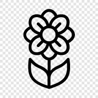 Bloom, Garden, Gardener, Plant icon svg