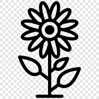 Blüte, Garten, Gartenarbeit, Pflanze symbol