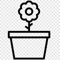 Bloom, Bloomers, Bouquet, Blossoms icon svg