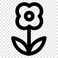 Bloom, Bloomer, Flower Boy, Florist icon svg