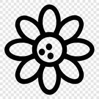 Bloom, Bloomers, Garden, Bouquet icon svg