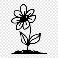 Bloom, Bloomers, Bouquet, Bouquets icon svg