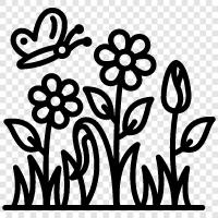 Bloom, Bloomers, Plant, Planting ikon svg