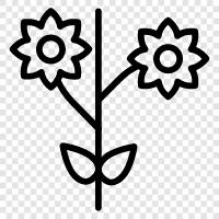 Bloom, Bloomers, Bouquet, Blooms ikon svg