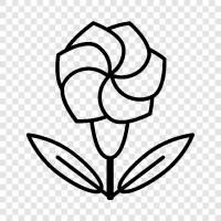 Bloom, Bloomers, Blooms, Bouquet icon svg