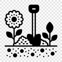 Bloom, Blossom, Bloomers, Floral icon svg