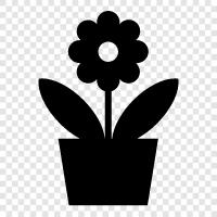 Bloom, Blooming, Bloomer, Blooms icon svg