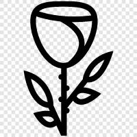 Blooming, Bloom, Bloomers, Blooming Plant icon svg