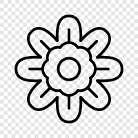 Blooming, Bloom, Blooms, Bouquet icon svg