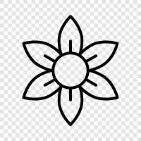 Blooming, Bloom, Floral, Bouquet icon svg