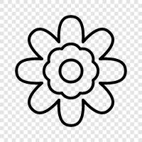 Blooming, Plant, Garden, Nurture icon svg