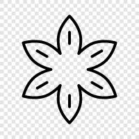 Blooming, Bloom, Bloomers, Bloomy ikon svg