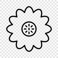 Blooming, Bloom, Bloomerler, Kanlı Bahçe ikon svg