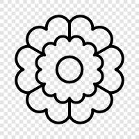 Blooming, Blooms, Bloom, Bloomers icon svg