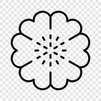 Blooming, Bloom, Bloomers, Bouquet icon svg