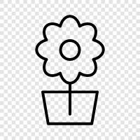 Blooming, Colors, Garden, Gardening icon svg