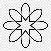 Blooming, Bloom, Blooms, Plant icon svg