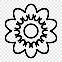 Blooming, Bloom, Bloomers, Bouquet icon svg