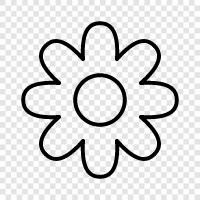 Blooming, Bloom, Bouquet, Gardening icon svg