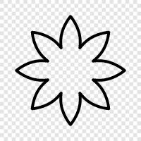 Blooming, Bloom, Plant, Fertilize icon svg