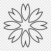 Blüte, Blume symbol
