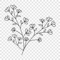 Blooming, Bloom, Bloomers, Bouquet icon svg