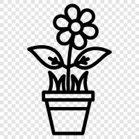 Blooming, Bloom, Bloomers, Bouquet ikon svg