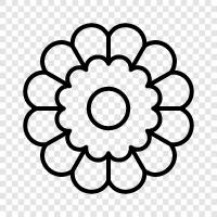 Blooms, Bloom, Floral, Bouquet icon svg