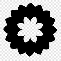 Blooms, Bloom, Plant, Gardening icon svg