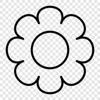 Blooms, Renkler, Kan, Kan Zamanı ikon svg