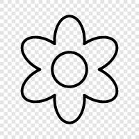 Blooms, Bouquet, Floral, Bloom icon svg