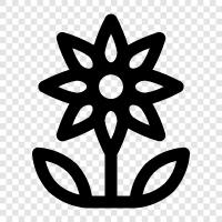 Blooms, Bouquet, Plant, Gardening icon svg